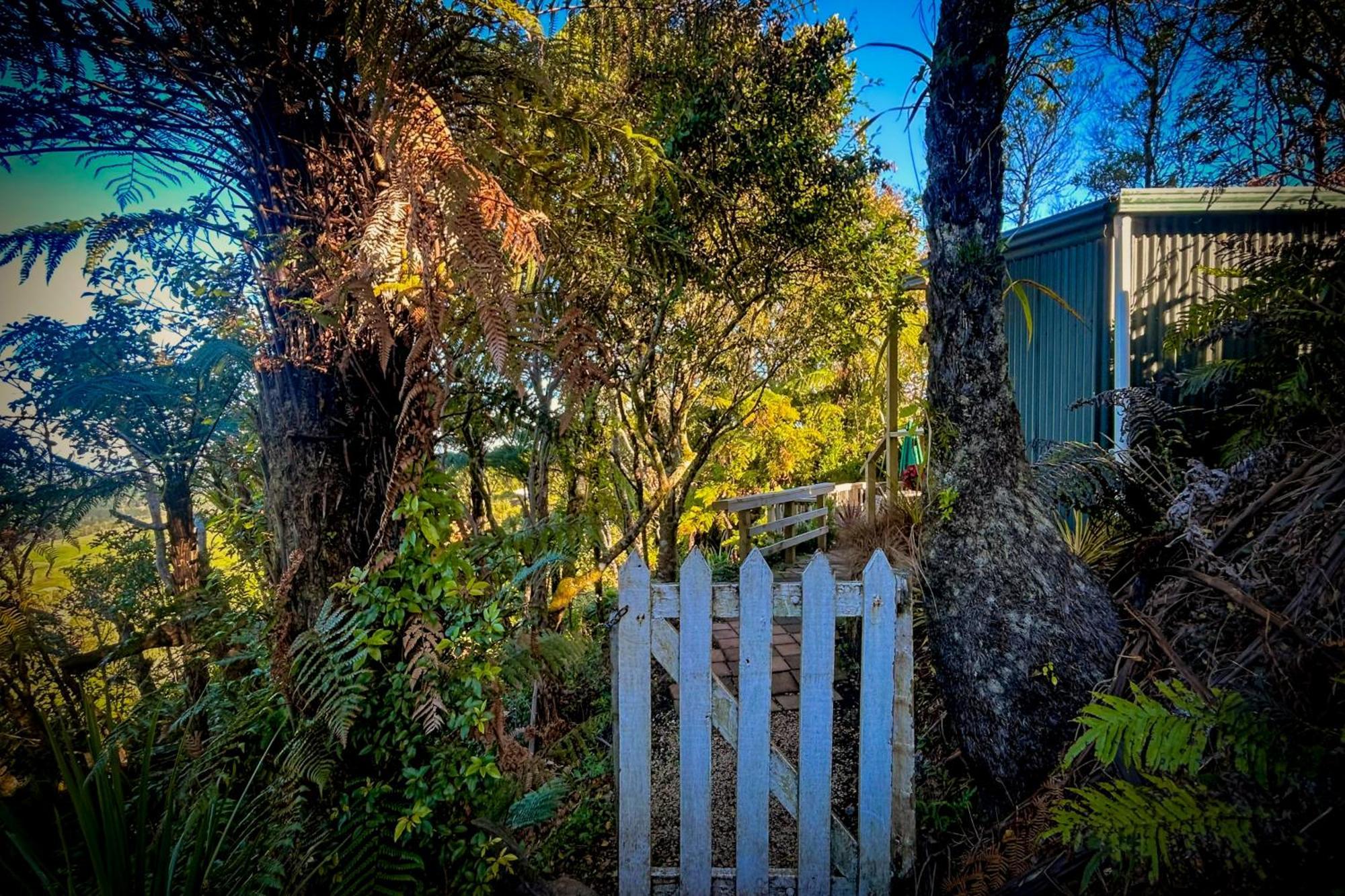 Te Tiro Accommodation Waitomo Caves Room photo